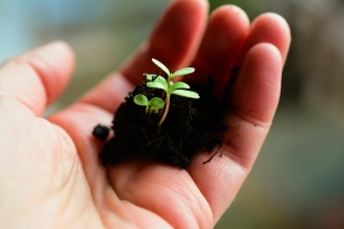 ¡Salvemos al planeta! Aquí te van 3 propósitos para un 2023 más sustentable