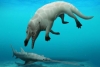 Paleontólogos descubren los restos de una ballena con cuatro patas en Egipto