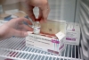 EUA enviará 60 millones de vacunas AstraZeneca a otros países