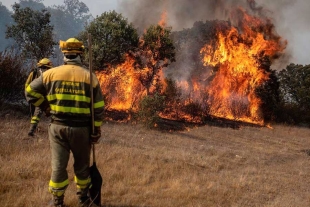 Del 1 de enero al 13 de abril de 2025 se han registrado 448 incendios forestales