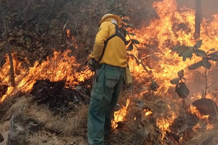 Controla incendio forestal en Almoloya de Alquisiras