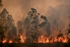 El humo de los incendios de Australia llega a Chile