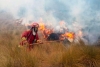Bomberos de Toluca atienden incendios forestales y de pastizal