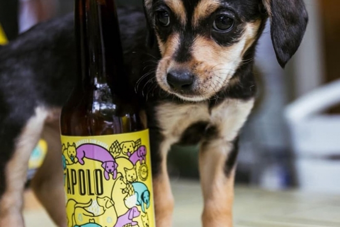 “Apolo”, la cerveza mexicana que apoya a los perros de la calle