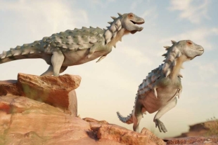 Jakapil Kaniukura: científicos presentan fósil de una nueva especie de dinosaurio acorazado