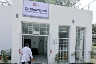 Crean crematorio para mascotas en CDMX