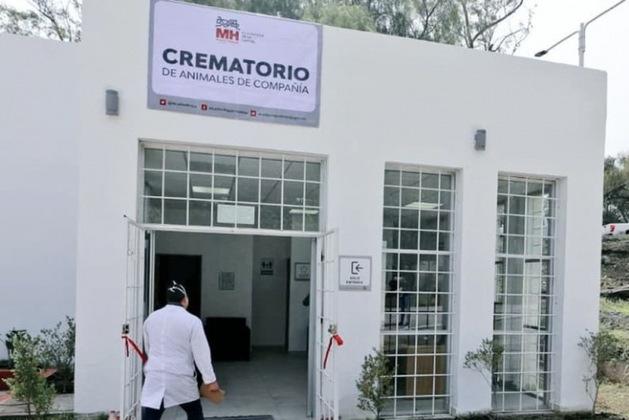 Crean crematorio para mascotas en CDMX