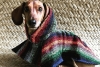 Sarapes para perros, la última tendencia en temporada de frío