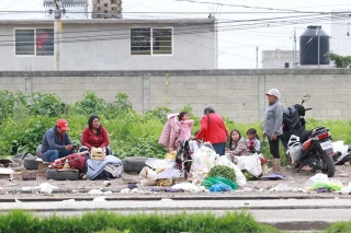 Trabajo entre familia