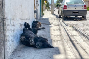 Foto: Alejandro Vargas