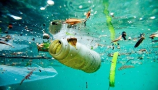 Universidades desarrollan sistema con ia para identificar plásticos en océanos