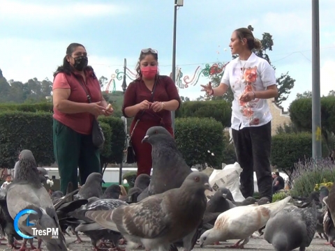 Protectores de animales cuidan a palomas en Toluca