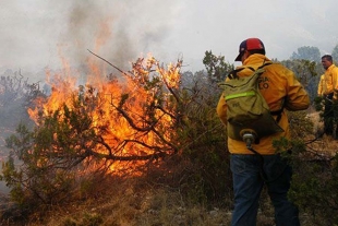 Edomex registra mil 458 incendios forestales en cinco meses