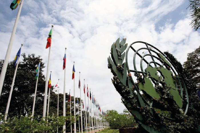 Banderas de distintos países ondean en la sede del Programa de la ONU para el Medio Ambiente en Kenia, donde se realiza la Asamblea UNEA-7 sobre la crisis medioambiental global.