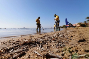 Urgente poner fin a la “guerra contra la naturaleza”: Unión  Europea