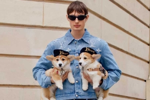 &quot;Dog Lovers” están inspirados en una sofisticación discreta