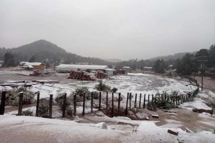 ¡Durango se viste de blanco! Caen primeras nevadas