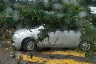 Afortunadamente no se reportaron pérdidas humanas o lesionados, solo quedó en daños materiales.