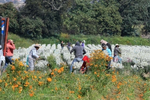 Fotos: Alejandro Vargas.