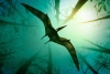 ¡Imponente! Descubren en Angola una especie de pterosaurio con enormes alas