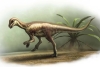 Del tamaño de un perro, dinosaurio recién descubierto desafía las teorías evolutivas