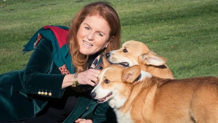 Los corgis de Isabel II no están contentos conmigo, confiesa Sarah Ferguson