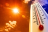 Calor global de octubre registra el 2020 como el segundo año más caluroso