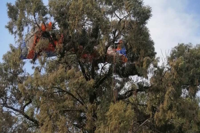 Cae parapentista extranjero en un árbol en Ixtapan de la Sal