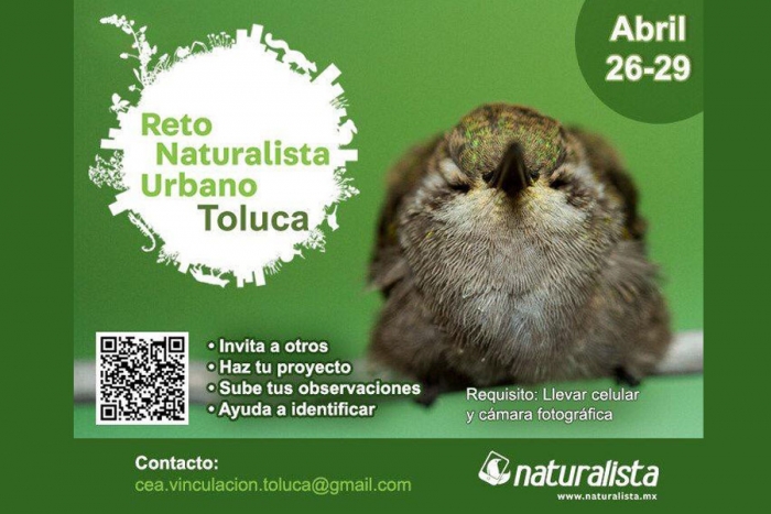 ¿Sabes qué especies viven en Toluca? Súmate al #RetoNaturalista
