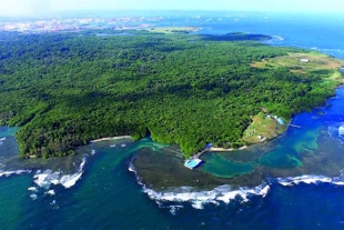 Hoy día, a las orillas del mar de la Isla Galeta, habita un variado ecosistema de cangrejos, pájaros e incluso uno que otro cocodrilo.