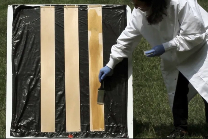 Científicos desarrollan un método sencillo capaz de transparentar la madera