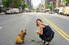 Ciudadanos de Nueva York podrían recibir licencia especial para cuidar a sus mascotas