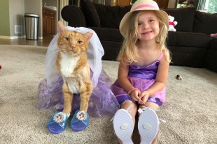 “You are my sunshine”: la emotiva despedida entre una pequeña y su gatito