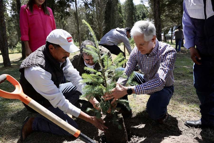 Afirma el gobernador Alfredo del Mazo que la masa forestal creció en la entidad en su sexenio