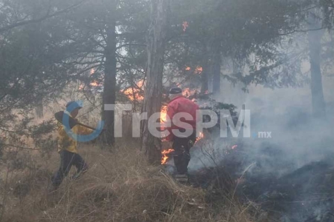 Se reaviva incendio en cerro de La Teresona