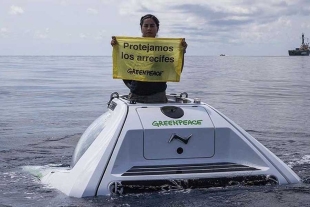 Greenpeace descubre arrecifes en el Golfo de México; pide protección ante nuevo gasoducto