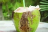 Descubre cinco beneficios del agua de coco para nuestra salud