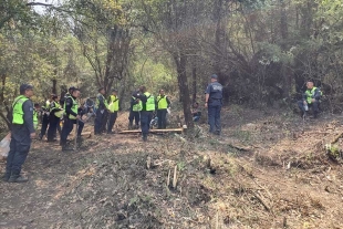 En Jilotzingo se realizan acciones en la parte alta boscosa .