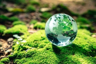 Calendario Ambiental 2024: estas son las fechas clave para un primer semestre sostenible
