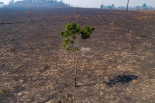 Cambio climático se ha convertido en emergencia global