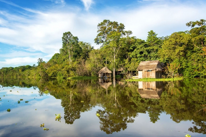 Facebook anuncia plan para combatir la venta ilegal de tierras en el Amazonas