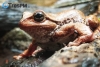 Biodiversidad mexiquense