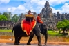 Camboya prohibirá paseos en elefante en los templos de Angkor Wat