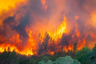 Cataloga la ONU como “código rojo” actual crisis climática