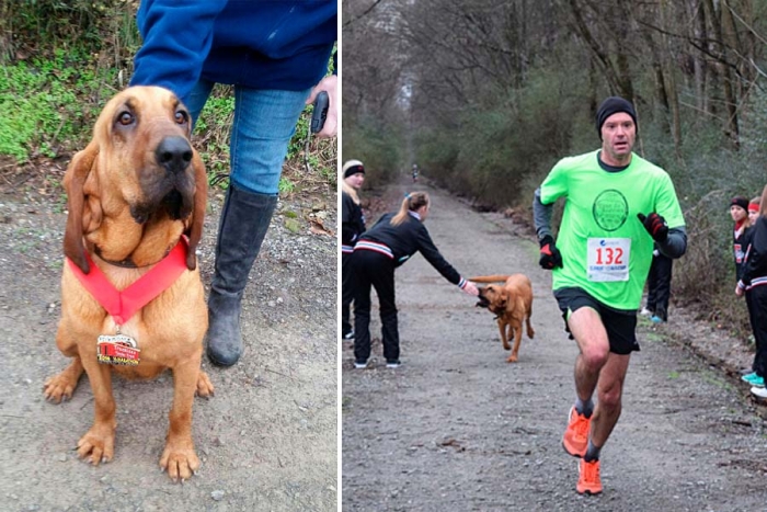 Perrita termina séptima en medio maratón por accidente