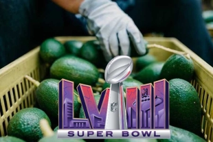 El Super Bowl que se llevará a cabo el próximo 11 de febrero
