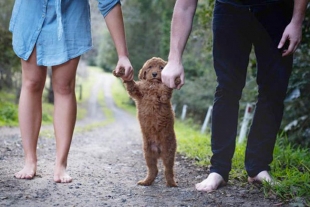 “Perrhijos”: el fenómeno que podría explicar por qué los millenials prefieren tener mascotas que hijos