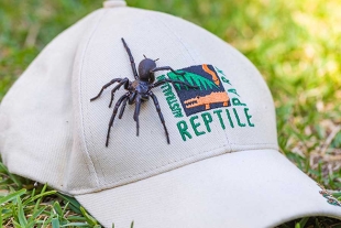 ¡Ay, nanita! En Australia, identifican a la araña más grande y venenosa del mundo