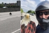 El chico que salvó al águila símbolo de Estados Unidos