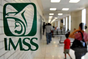 Bajo porcentaje de mexiquenses afiliados al esquema de seguridad social para trabajadores independientes del IMSS